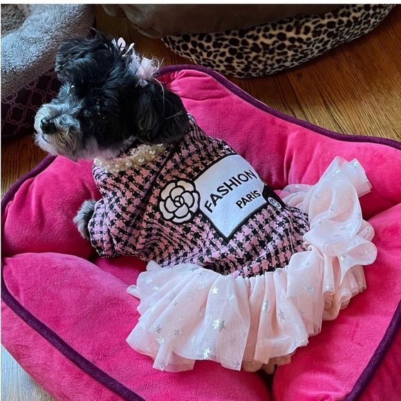 Doggie Dress! - Picture 2 of 6